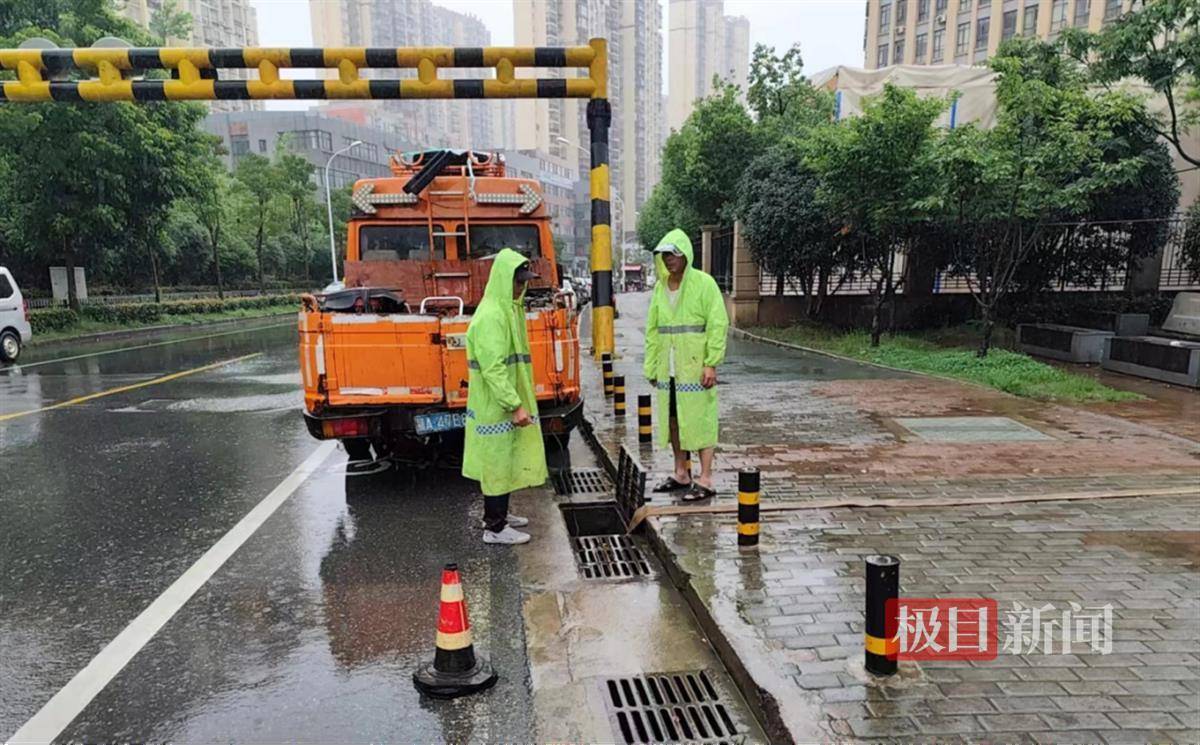 ✅澳门一肖一码100准免费资料✅:守护城市一抹绿色