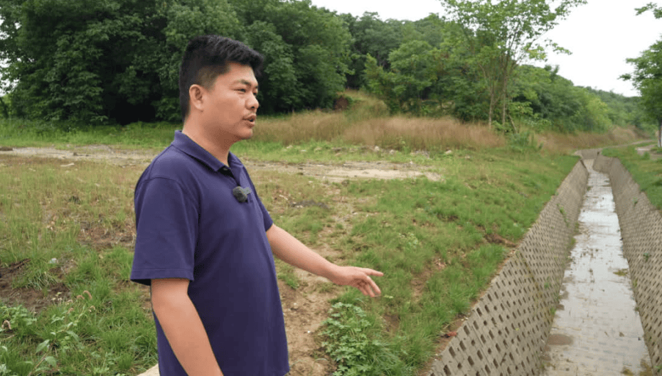 🌸【澳门一肖一码一必中一肖精华区】🌸:长江中游城市群省会城市第十届会商会在长沙举行