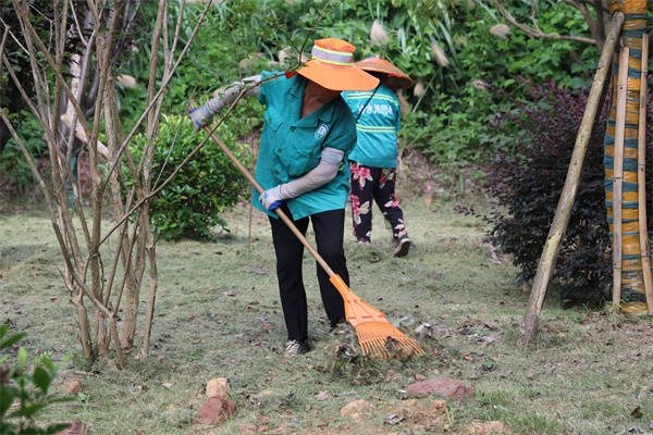 🌸【新澳门一码一肖一特一中】🌸:黑龙江省儿童友好城市建设现场推进会召开