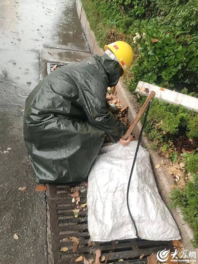 🌸【澳门一肖一码一中一肖】🌸:聚焦绿色建筑与城市更新，上海绿色建筑国际论坛成功举办