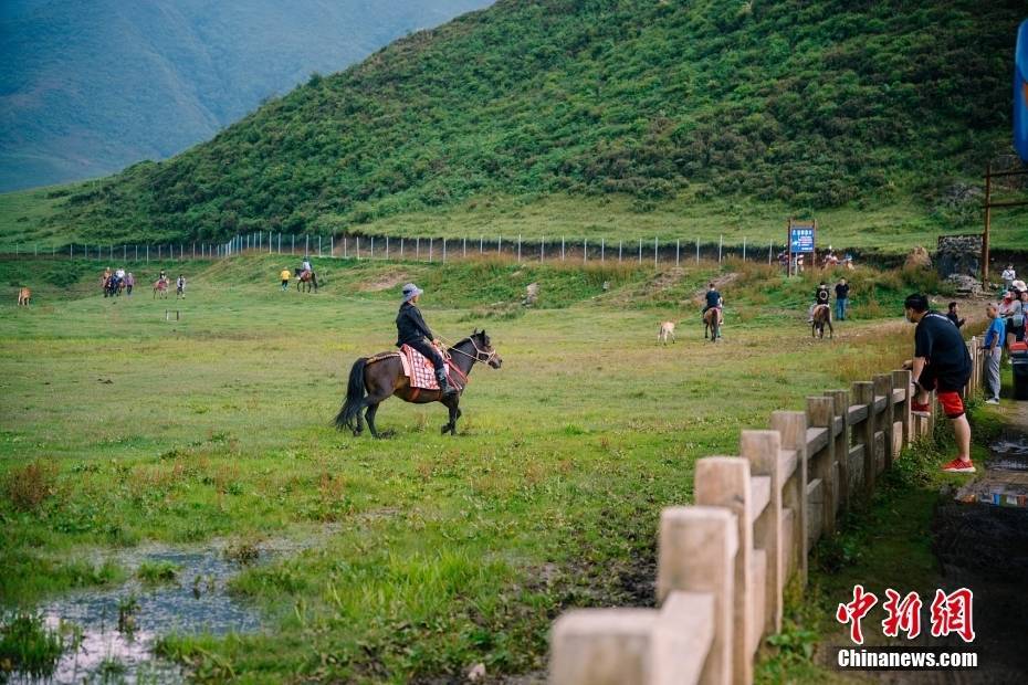 🌸【2024新澳门正版免费资料】🌸:2024年“最宜居城市”排名揭晓，维也纳再居榜首