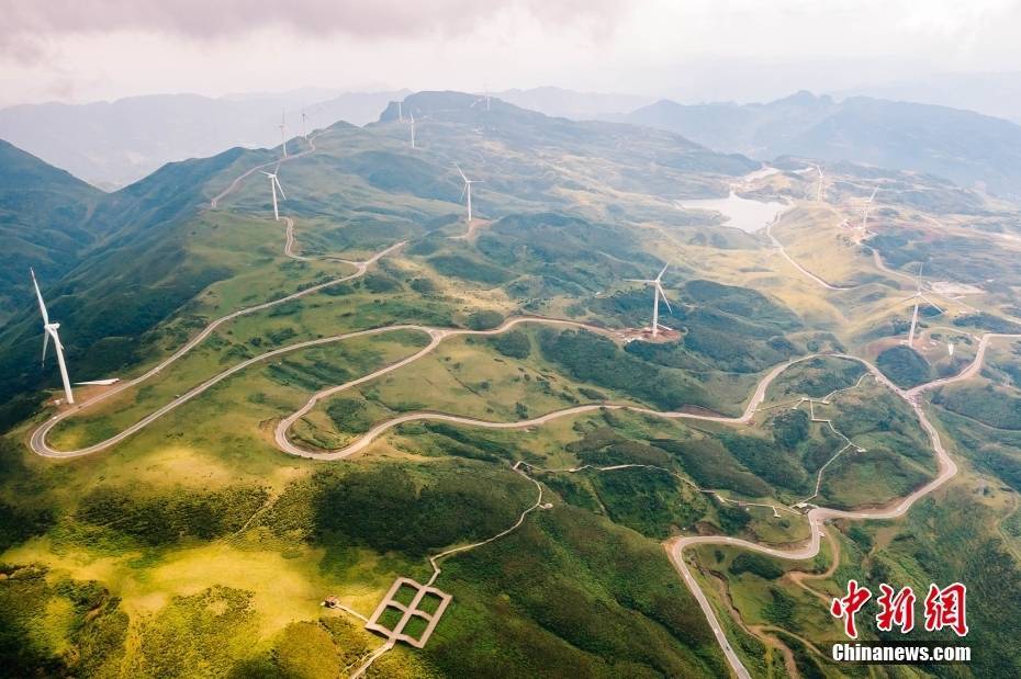 🌸【2024年新澳版资料正版图库】🌸:（神州写真）中国城市路边音乐会吸睛