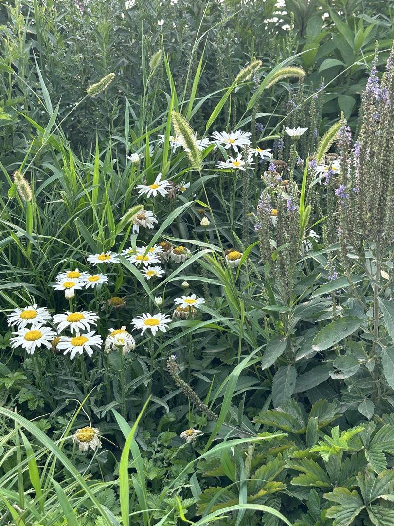 🌸【澳门精准100%一肖一码免费】🌸:谋划近百项未来城市场景  第3张