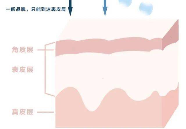 ✅2024澳门天天六开彩免费资料✅:英皇娱乐酒店（00296.HK）8月28日收盘跌1.67%