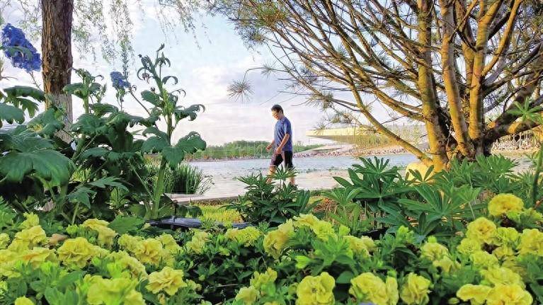 🌸【管家婆一码一肖100中奖】🌸:端午济南、苏州等城市酒店预订量同比增长超五成  第1张