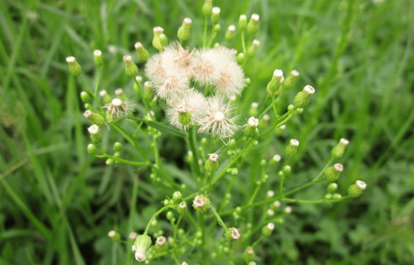 🌸【澳门一码一肖一特一中今晚】🌸:热血传情，点亮生命之光！济南城市照明公司开展“初心能源 爱心涌动”无偿献血活动  第2张