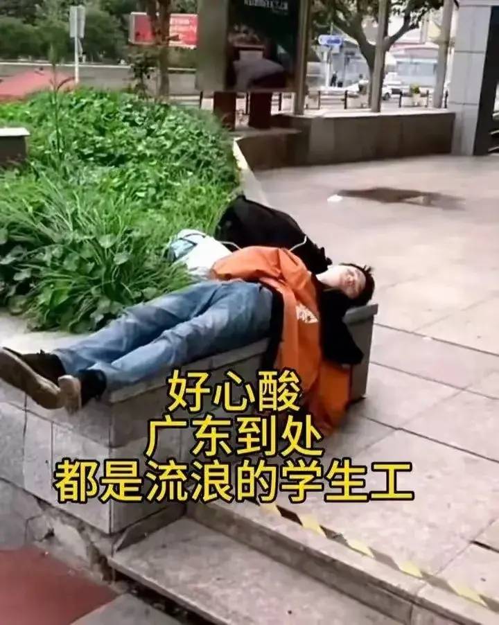 🌸【白小姐一肖一码今晚开奖】🌸:对话美团无人机刘启泰：以安全为红线，助力城市低空物流实现规模化落地  第3张