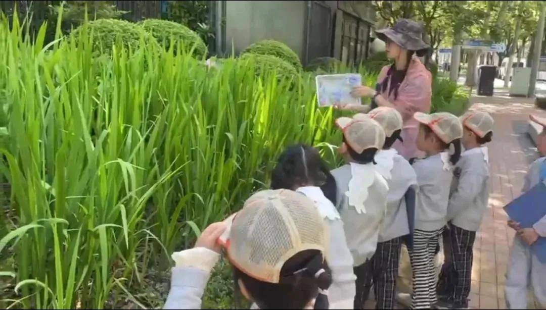 🌸【澳门一肖一码100准免费资料】🌸:加快城市更新 提速项目建设 催生更多高质量发展增长点支撑点