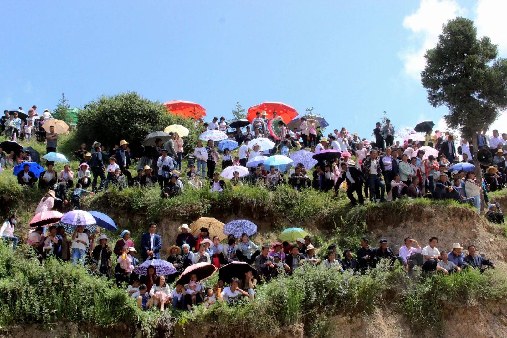 🌸【管家婆一码一肖100中奖】🌸:会东县第八届金沙江文化旅游季暨“陌上姜州”稻田音乐会即将启幕