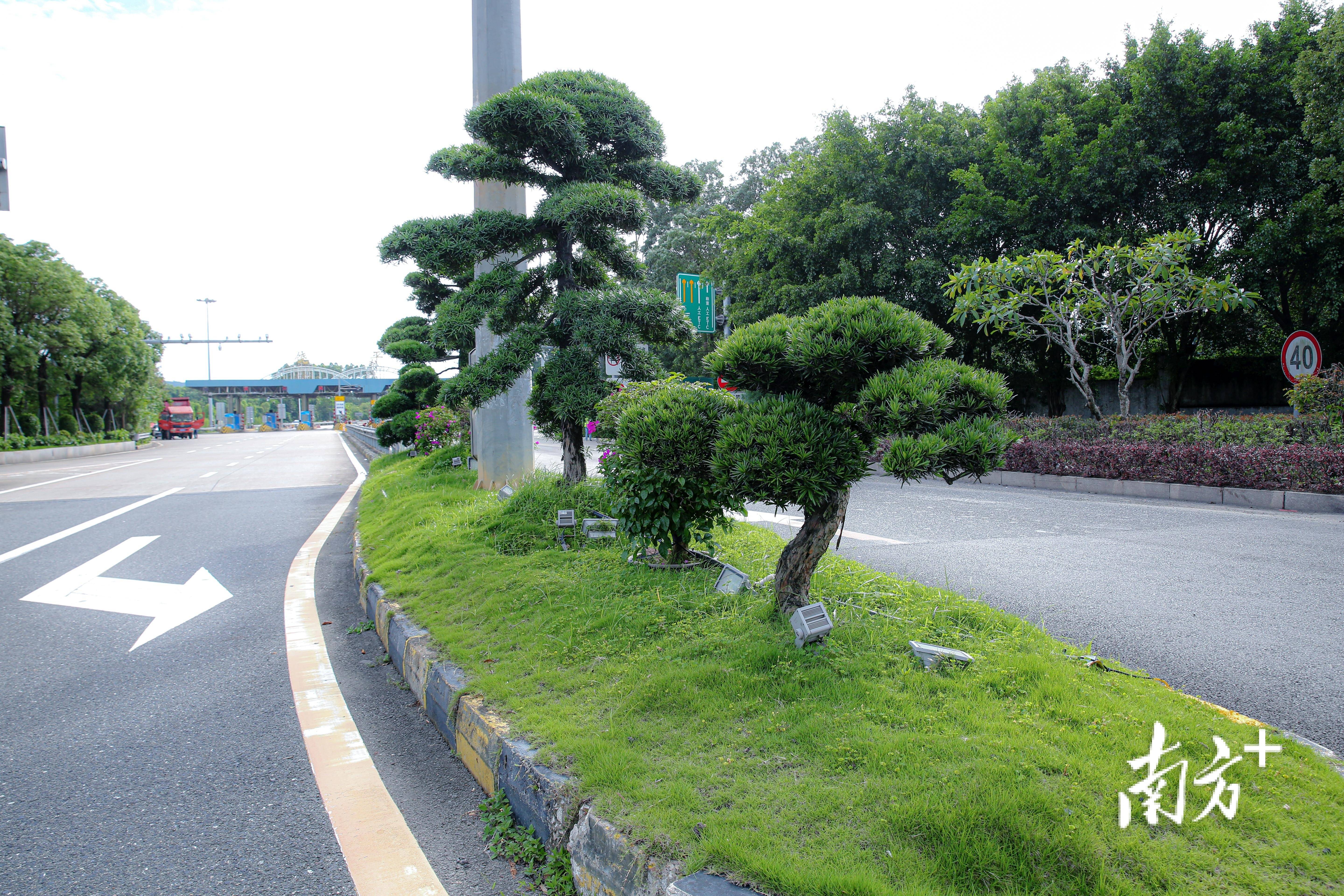 🌸【澳门一码中精准一码免费中特 】🌸:多座城市共享单车涨价 共享产品质量如何跑赢价格  第1张