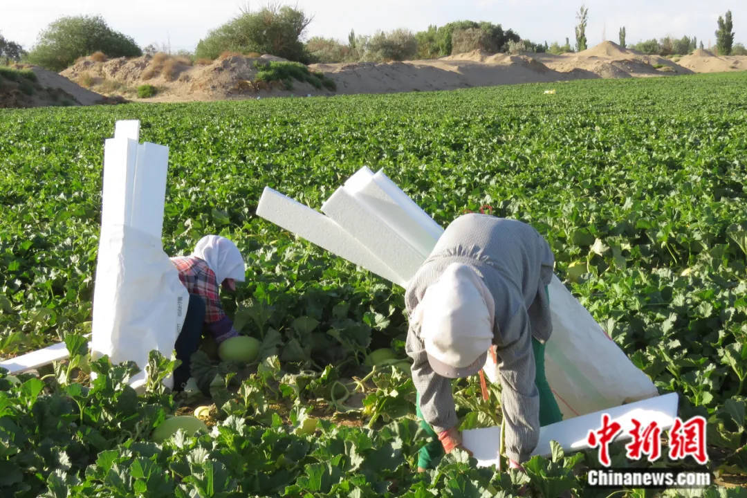 🌸【管家婆一码一肖100中奖】🌸:加快探索走出更可持续的城市更新路子