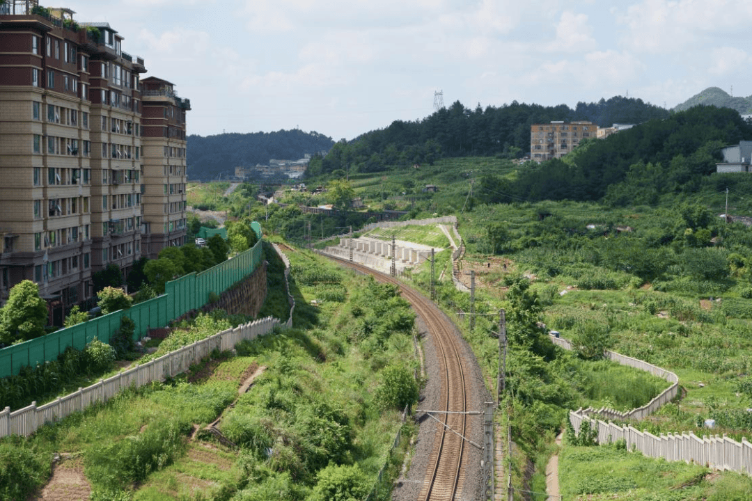 🌸【2024澳门天天开好彩资料】🌸:GEF报告编译①｜去中心化治理：城市可持续发展的关键动力