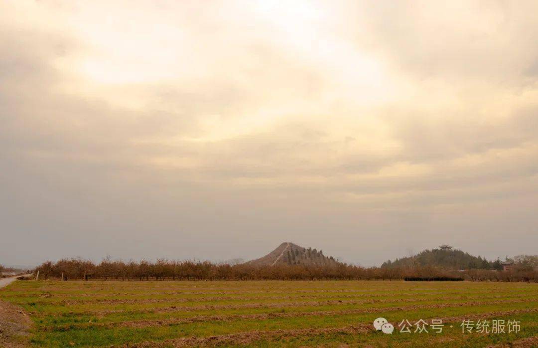 🌸【2024澳门天天开好彩大全】🌸:解决超大城市住房问题的深圳方案：存量挖潜与多元融合