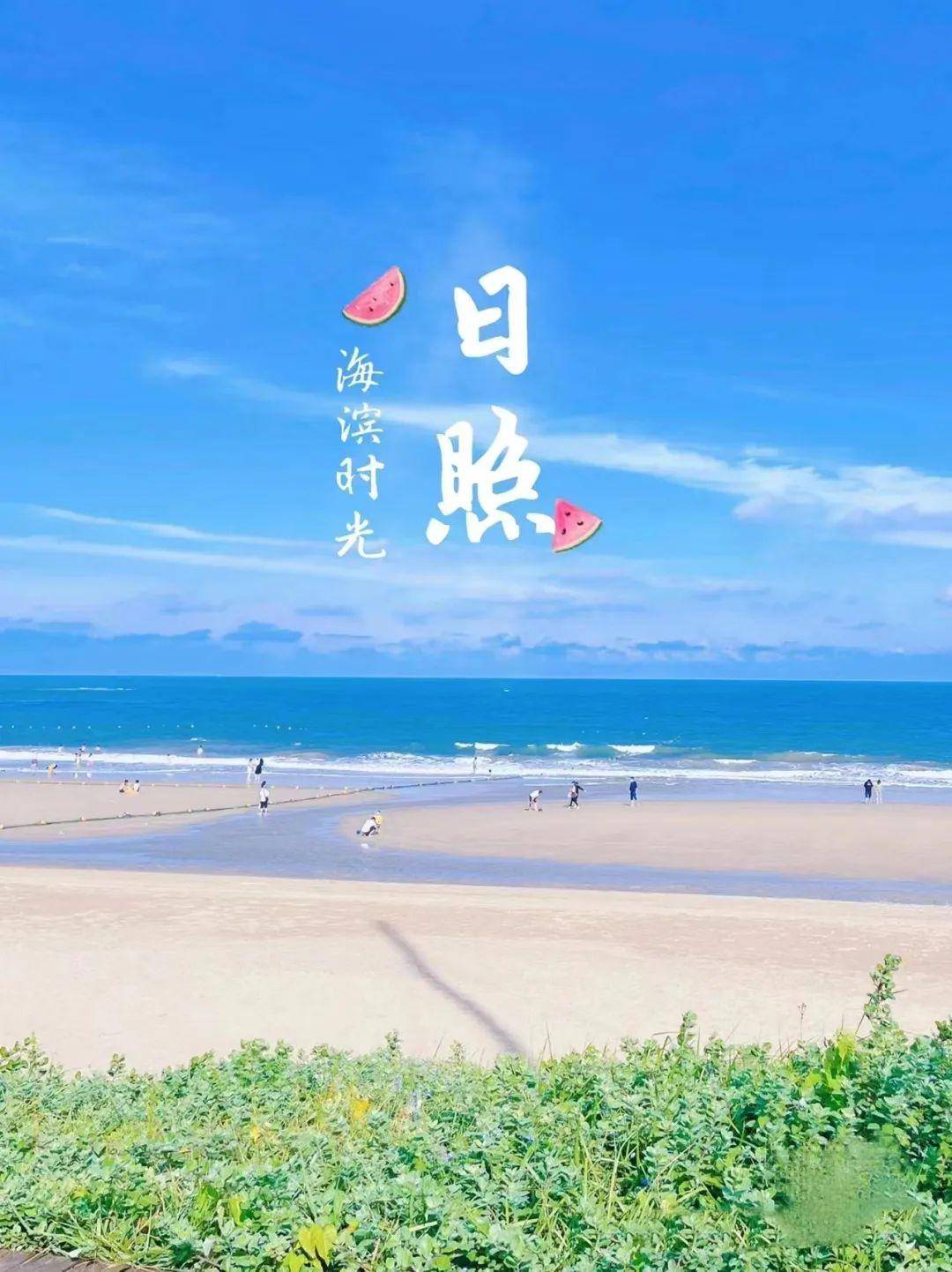 🌸【澳门王中王100%的资料】🌸:青评果丨守护绿色“活化石”，延续青岛城市文化根脉