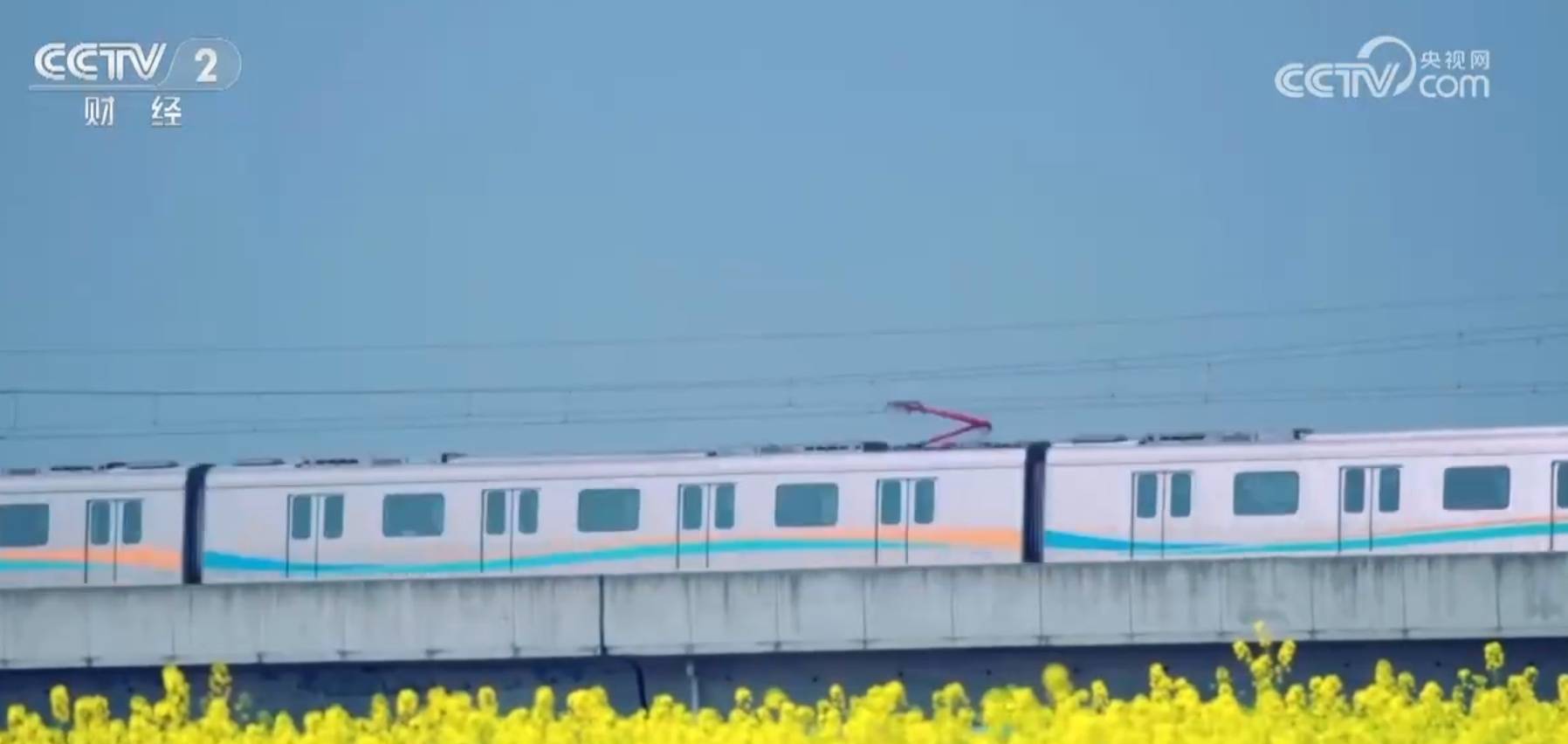 🌸【澳门管家婆一肖一码100精准】🌸:加快智慧城市建设步伐