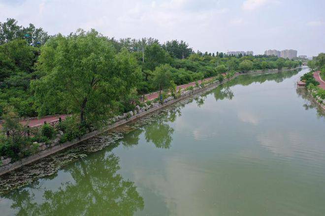 🌸【澳门一码一肖一特一中中什么号码】🌸:“人民城市”上海非公领域专场征集：能不能开一个公益的老外学中文的班  第6张