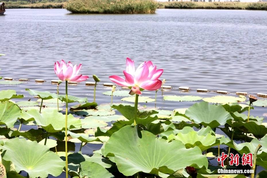 🌸【2024年正版资料免费大全】🌸:辽宁今天东部雨势猛烈局地有大暴雨 需警惕城市内涝  第3张