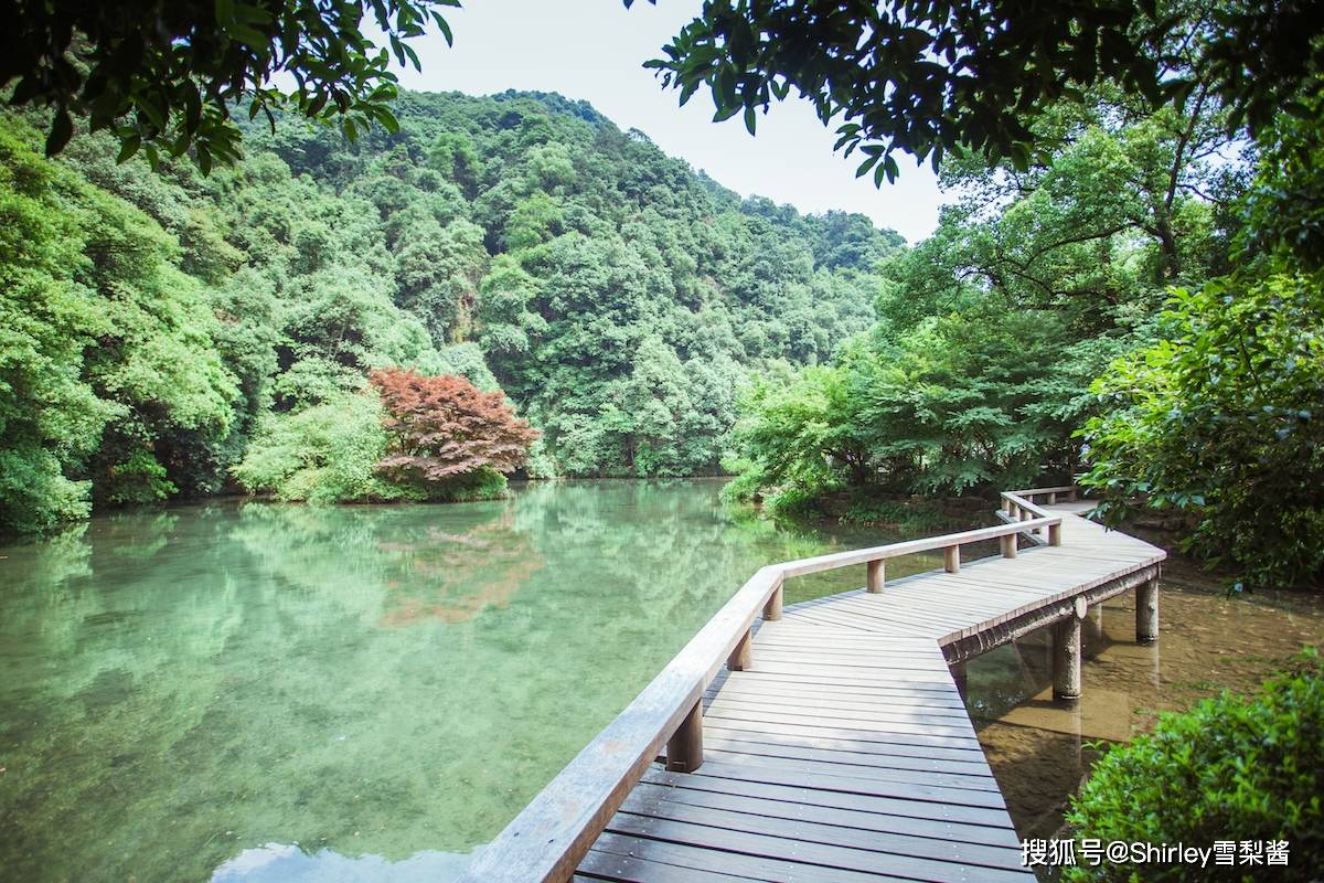 🌸【澳门一肖一码100准免费资料】🌸:上海市建筑科学研究院有限公司中标 2024 年唐县城市体检咨询服务项目，金额 395000 元