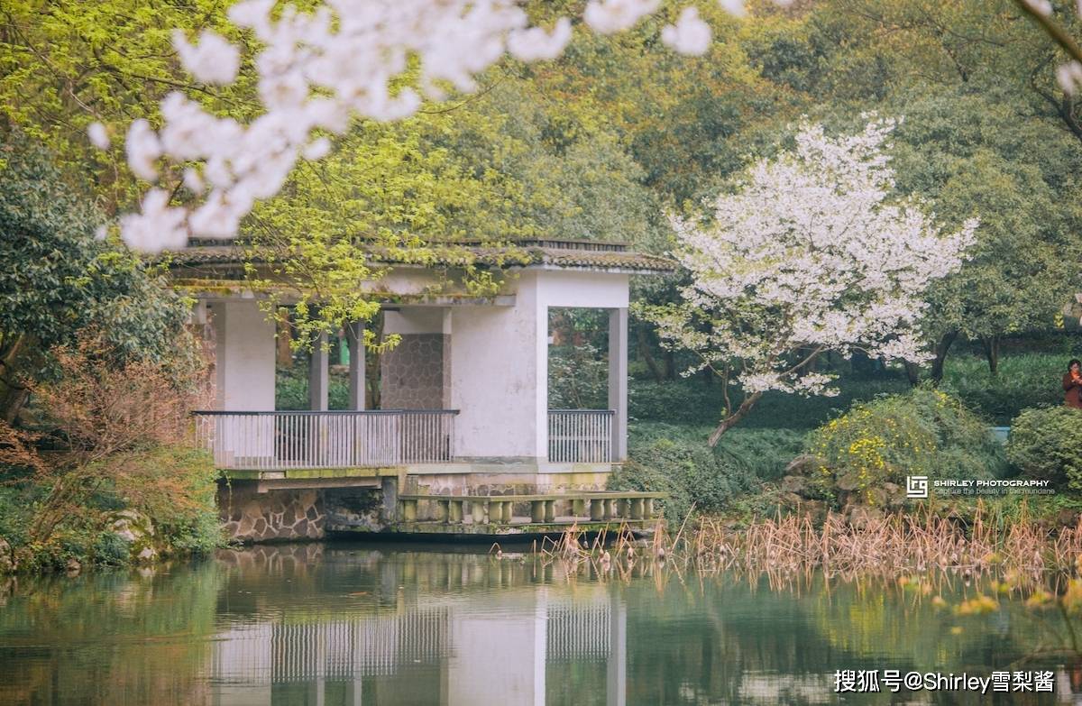 🌸【新澳门一码一肖100精确】🌸:住建部：中国已实施城市更新项目超6.6万个