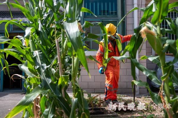 🌸【2024澳门天天开好彩大全】🌸:全国115所高校参加！首届绿岛湖全国高校皮划艇静水公开赛在沈阳城市学院火热开赛  第2张