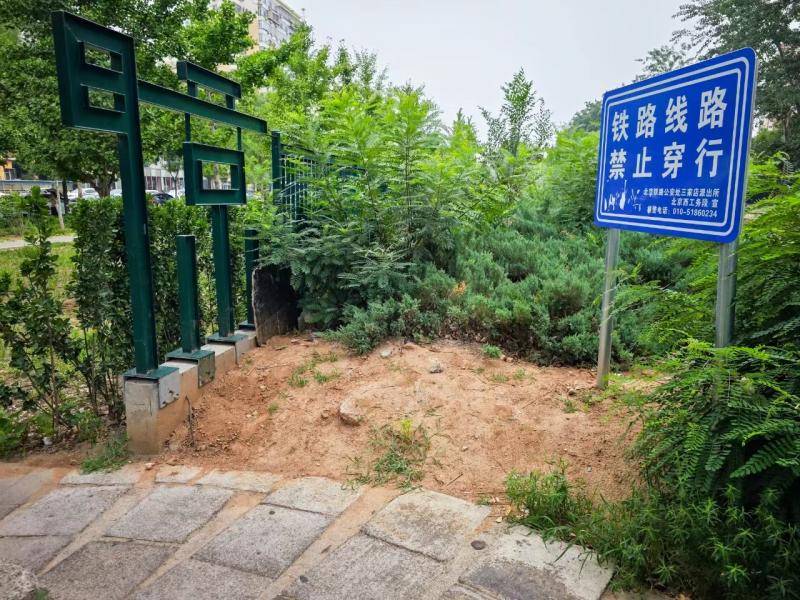 🌸【澳门精准100%一肖一码免费】🌸:滨海新区建材路片区城市更新项目开工  第1张