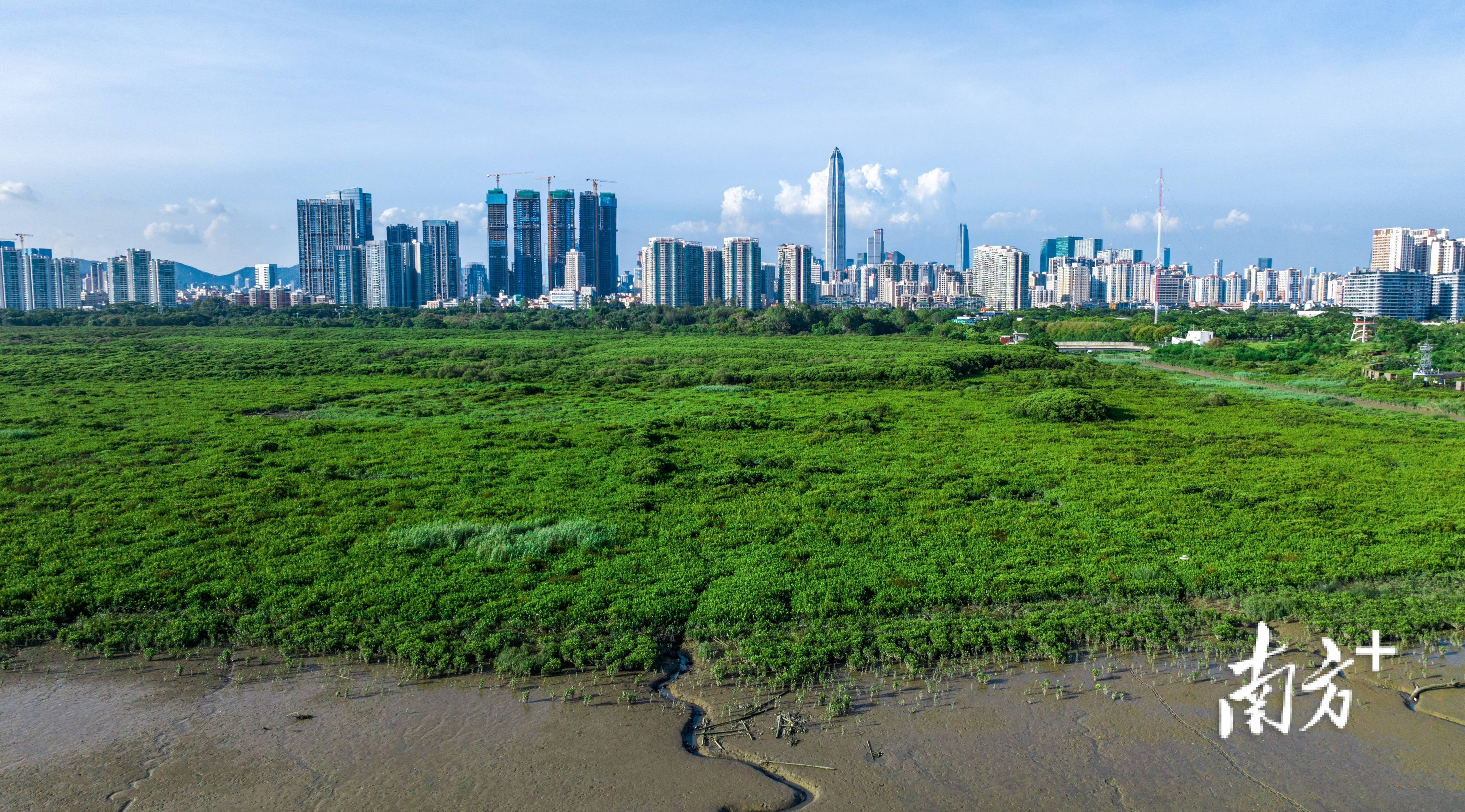 🌸【2024一肖一码100%中奖】🌸:云南水工程（集团）股份有限公司拟中标盘龙区茨坝片区城市供水设施建设项目工程