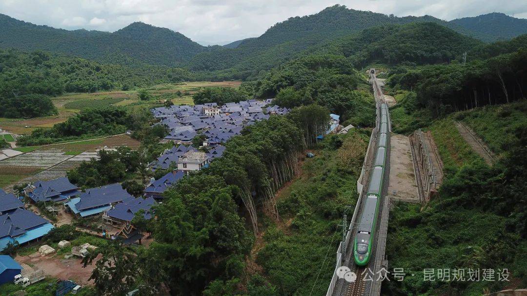 🌸【2024澳门正版资料免费】🌸:杭州加强青年发展型城市建设