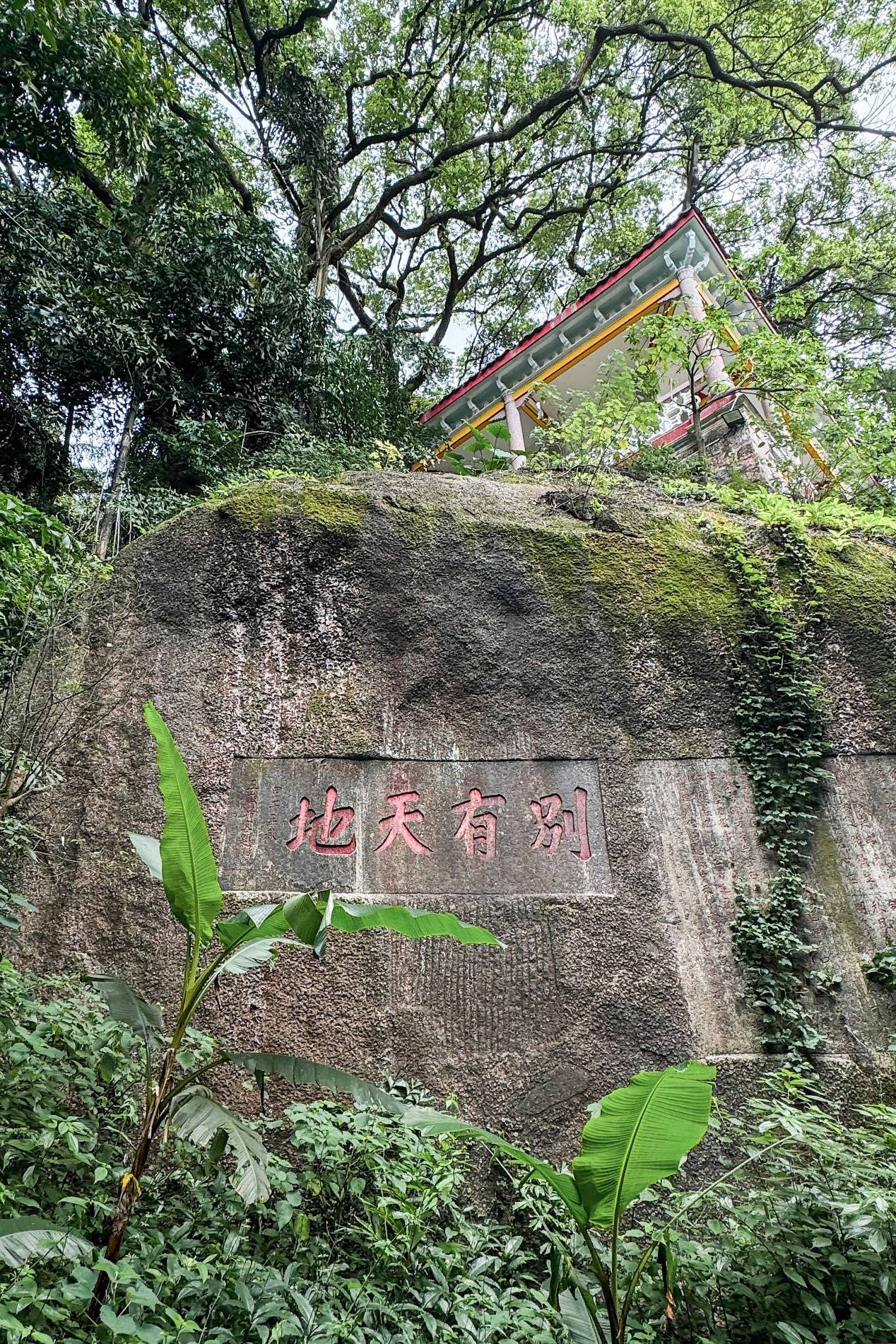 🌸【澳门一码一肖一特一中直播开奖】🌸:山西春润达工程项目管理有限公司中标古交市城市管网改造项目监理一标段