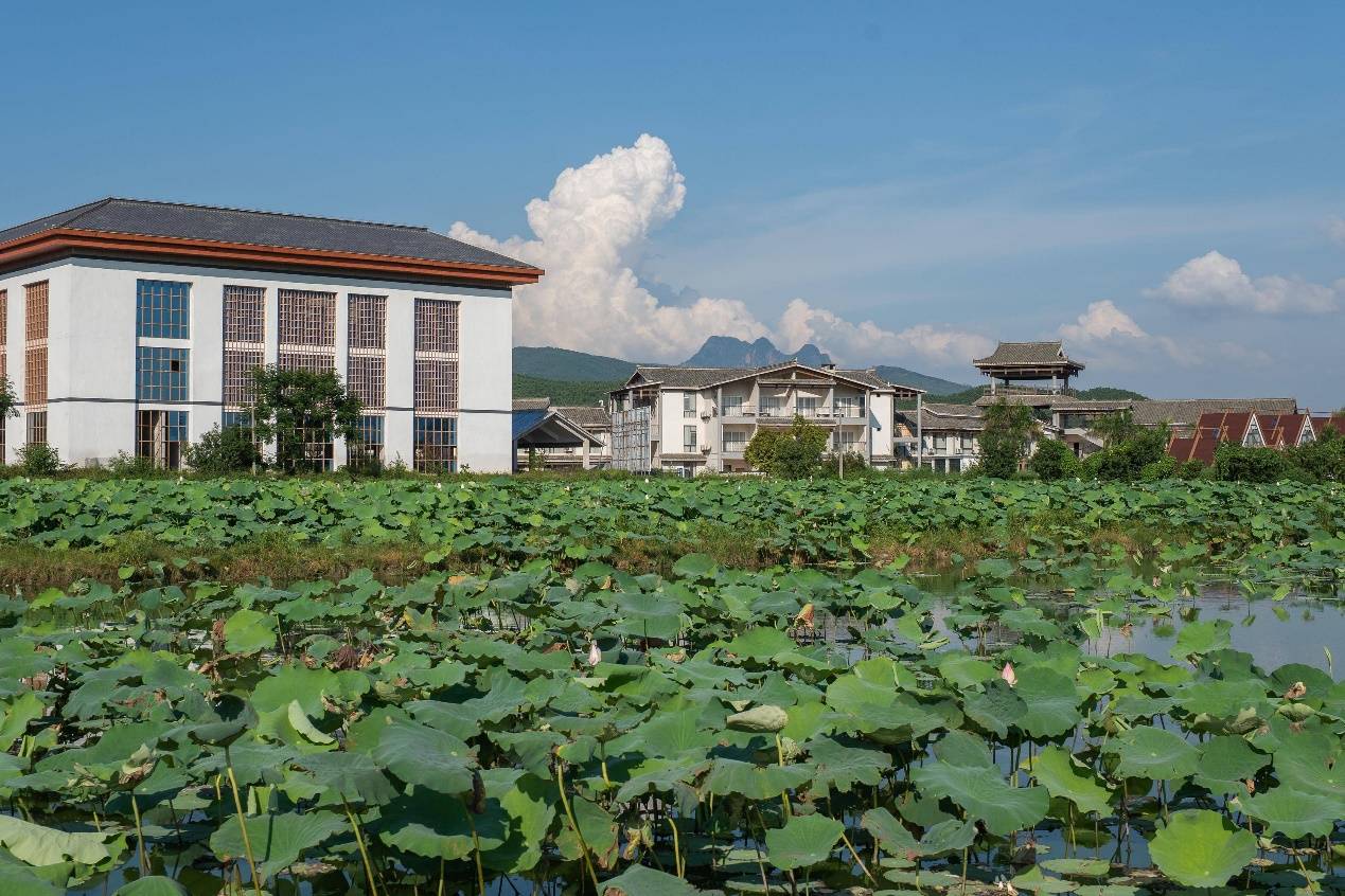 🌸【2024澳门天天六开彩免费资料】🌸:“中国游”持续火热：长城、故宫、兵马俑是必打卡景点，有俄罗斯游客半年到访16个城市