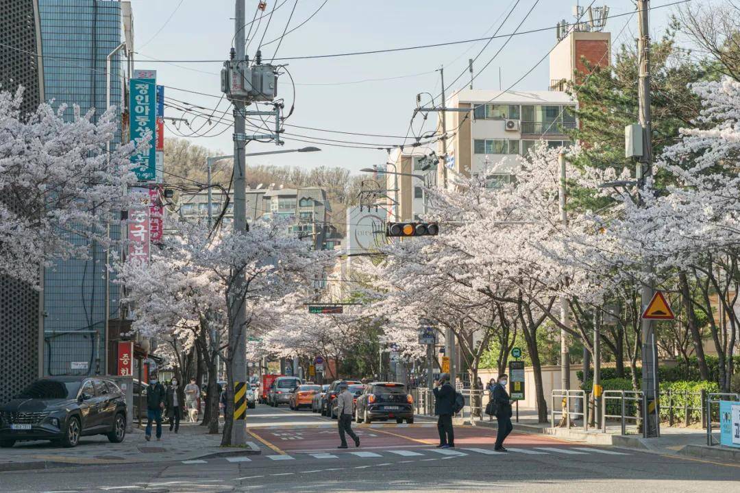 🌸【新澳门内部资料精准大全】🌸:唱响浮山湾！2024琴岛国际音乐节“小石头和孩子们”专场音乐会精彩演绎