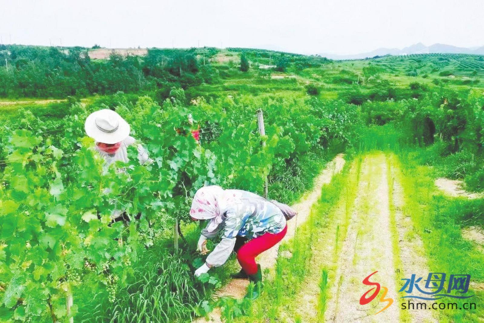 🌸【管家婆一码中一肖2024】🌸:加快培育建设国际消费中心城市 北京构建融合发展格局  第4张