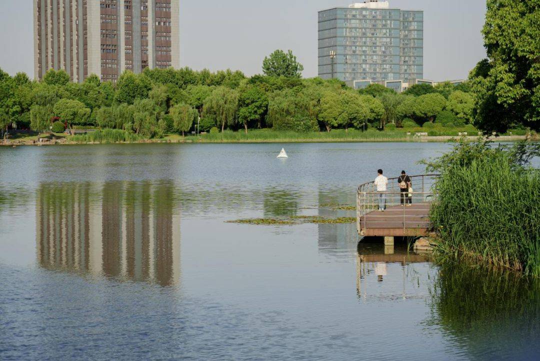 🌸【澳门一肖一码一必开一肖】:宁夏银川：览山公园观日落 助力城市“夜经济”  第4张