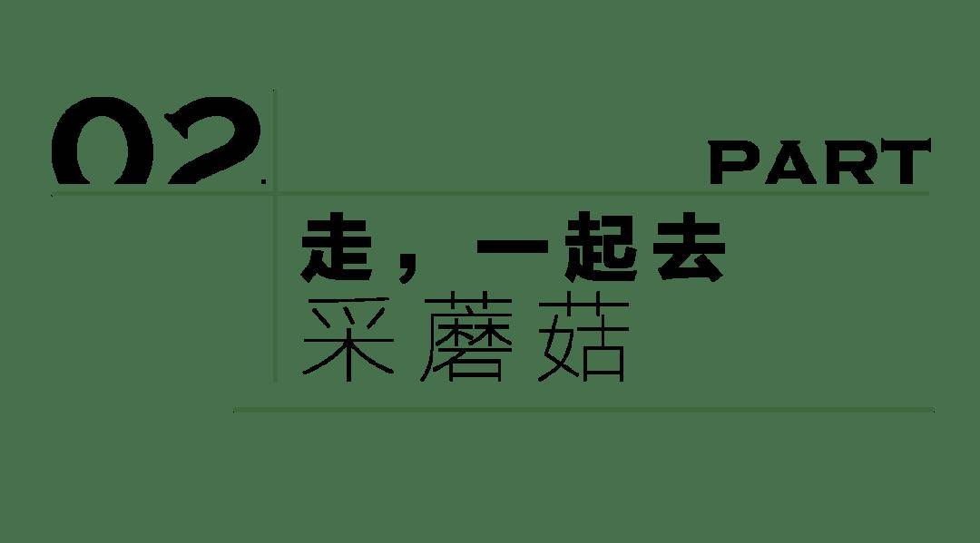 🌸【77778888管家婆必开一肖】🌸:重庆永川：加快培育建设市域副中心城市