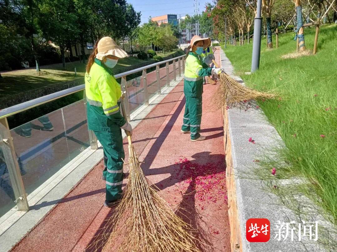 🌸【管家婆一肖一码100%准确】🌸:丹东智慧城市运营有限公司中标 3.2 万元丹东市校外供餐单位食品安全远程监控系统采购项目