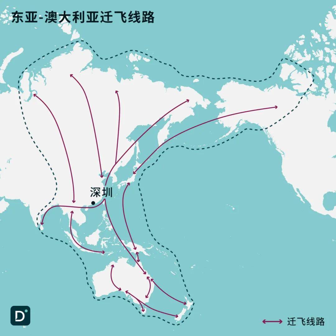 🌸【2024年新澳版资料正版图库】🌸:特斯拉城市车道级导航服务覆盖更多地区，新增16城  第3张