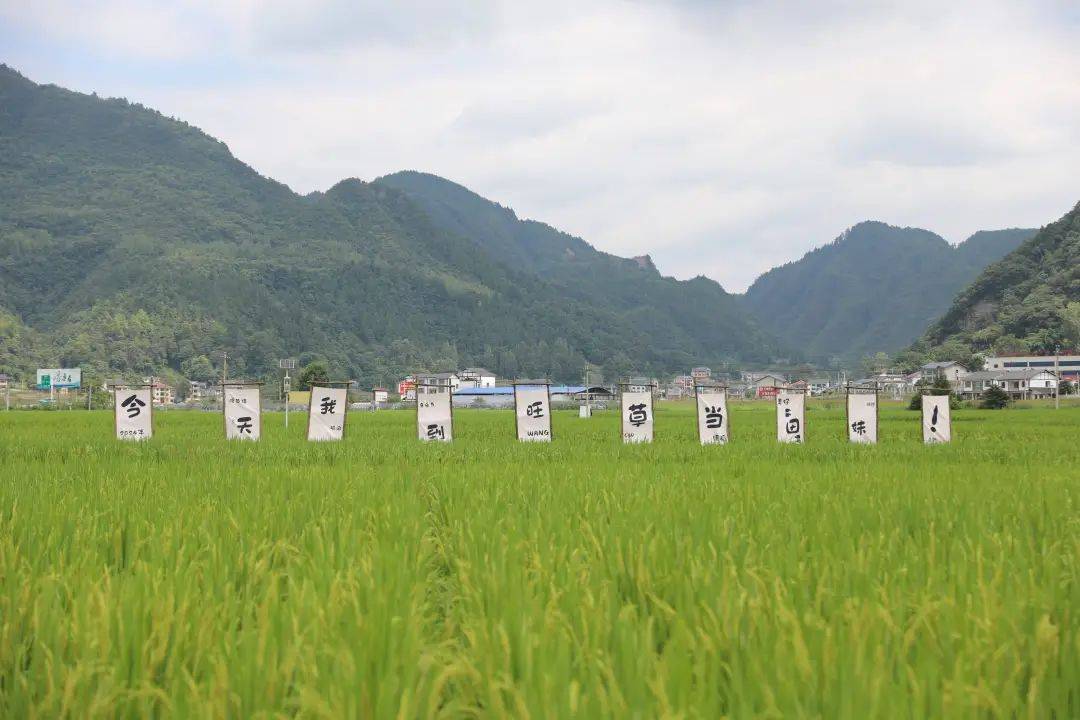 🌸【2024澳门正版资料免费大全】🌸:每日与世界30亿次交互！这家AI独角兽企业发布视频、音乐生成模型