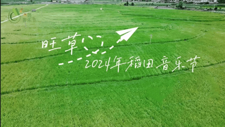 🌸【2024一肖一码100%中奖】🌸:音乐之风“席卷”之下，潍坊如何把流量变“留量”？