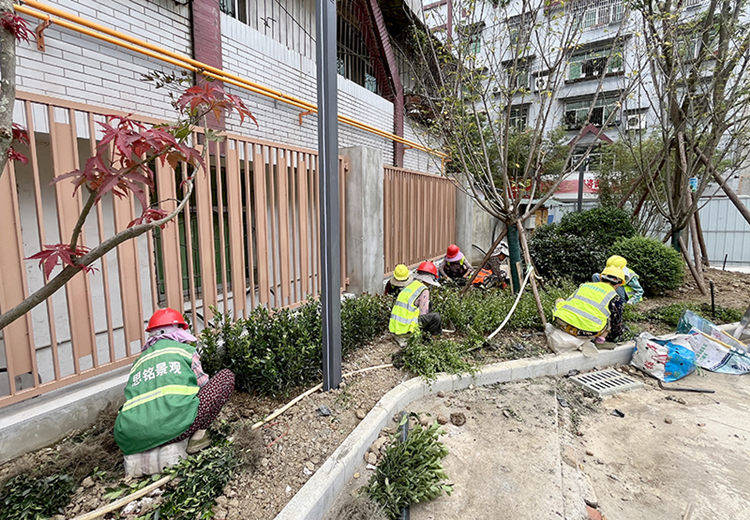 🌸【2024一肖一码100精准大全】🌸:中国足协：选定大连市为中国队世预赛9月份主场承办城市  第5张