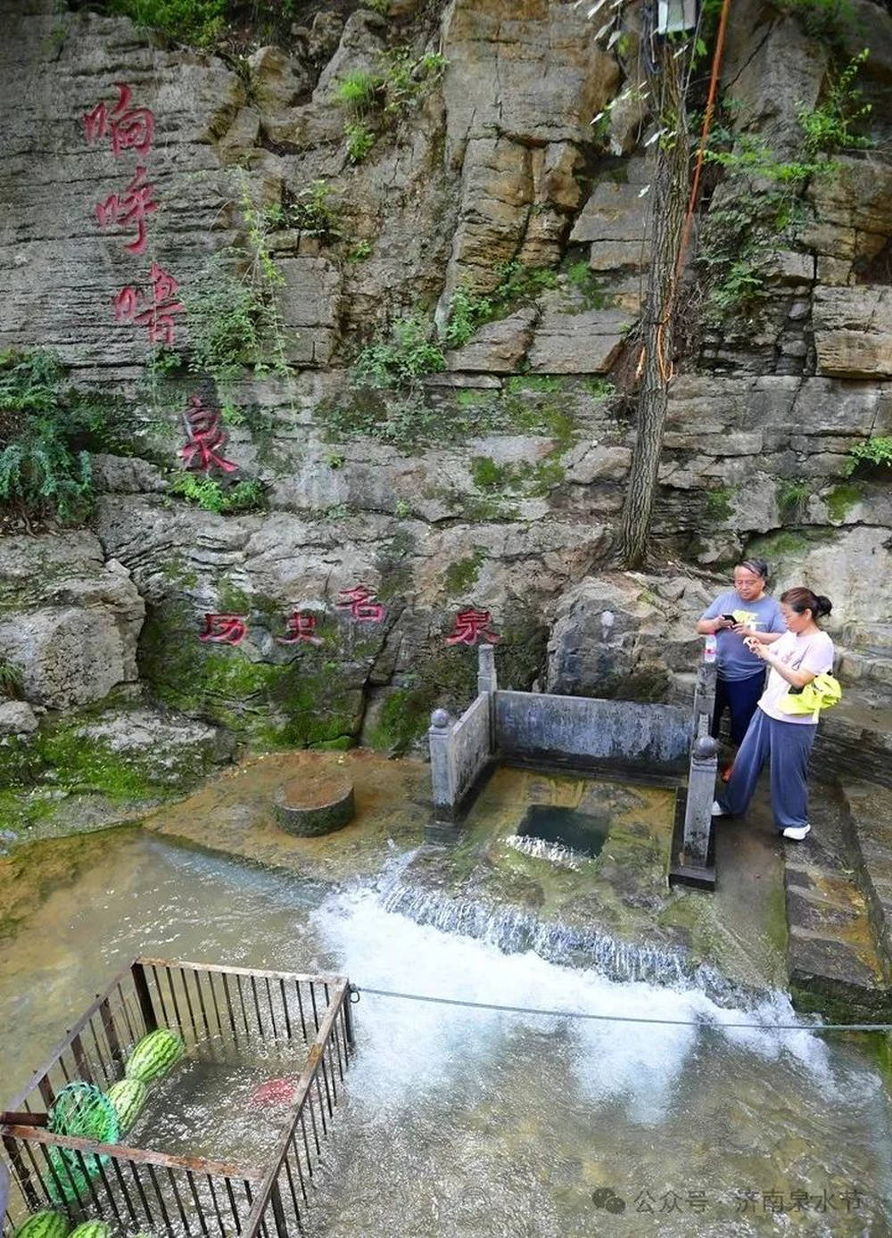 🌸【澳门管家婆一肖一码100精准】🌸:农村一种植物，可盆栽做盆景，城市里也能见到，若见到，请珍惜  第4张