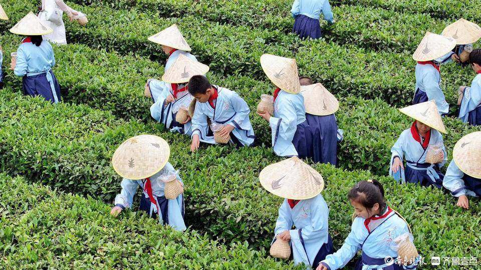 🌸【4777777最快香港开码】🌸:生态环境部：地级及以上城市黑臭水体整治完成比例98.4%  第2张