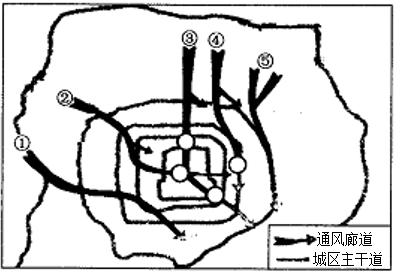 🌸【494949澳门今晚开什么】🌸:2024山东省4V4城市篮球联赛收官：领振实业队获得总冠军  第1张