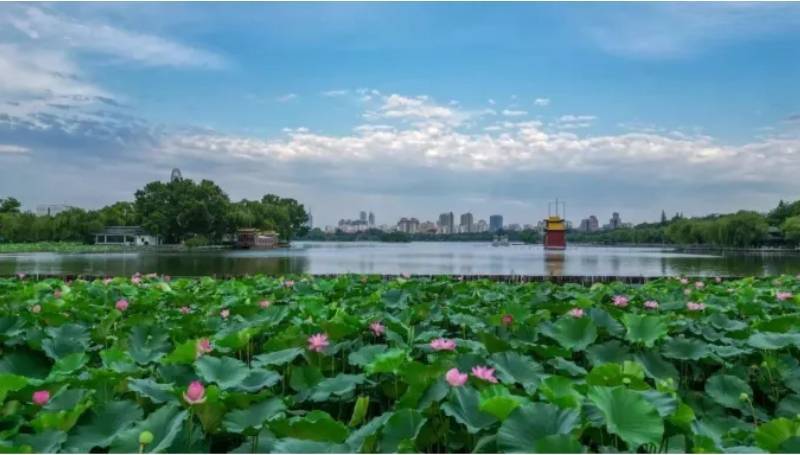 🌸【香港二四六开奖免费资料】🌸:生活垃圾“分类行”上线 第二届全国城市生活垃圾分类宣传周“志愿百日行”在深圳启动  第5张