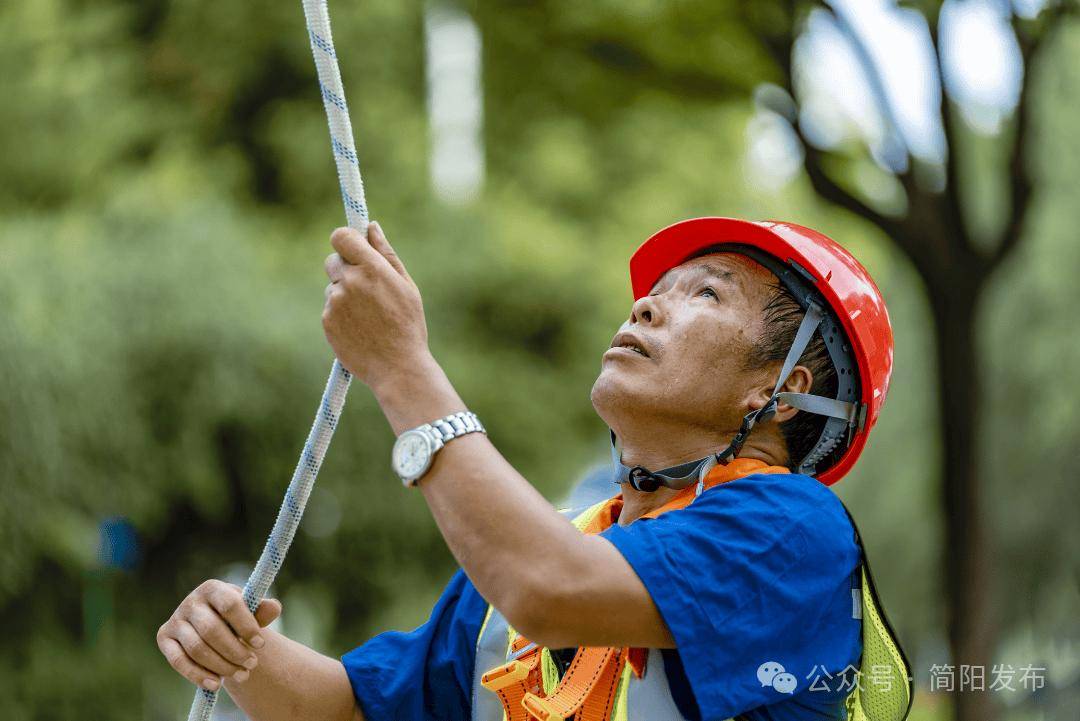 🌸【2024澳门资料大全免费】🌸:青岛同合盛建筑安装工程有限公司中标胶州市李哥庄镇259万城市品质提升项目  第5张