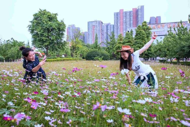 🌸【管家婆一码一肖100中奖】🌸:引领数据要素市场化配置改革！济南正全面打造数字先锋城市