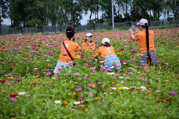 🌸【2024澳门正版资料免费】🌸:深度解读！亳州城市高质量发展如何照进现实