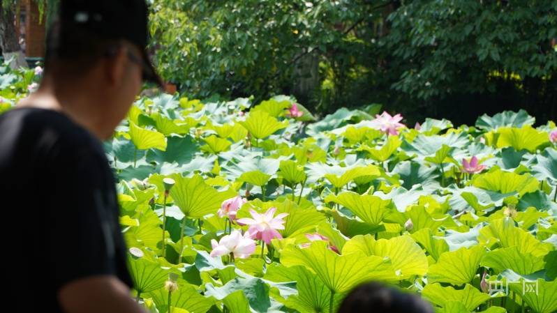 🌸【管家婆期期四肖四码中特管家】🌸:山东城市建设职业学院专业推荐：过来人的经验与建议