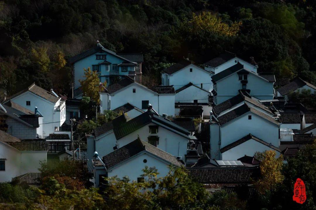 🌸【澳门一码中精准一码免费中特 】🌸:我来到你的城市  第1张