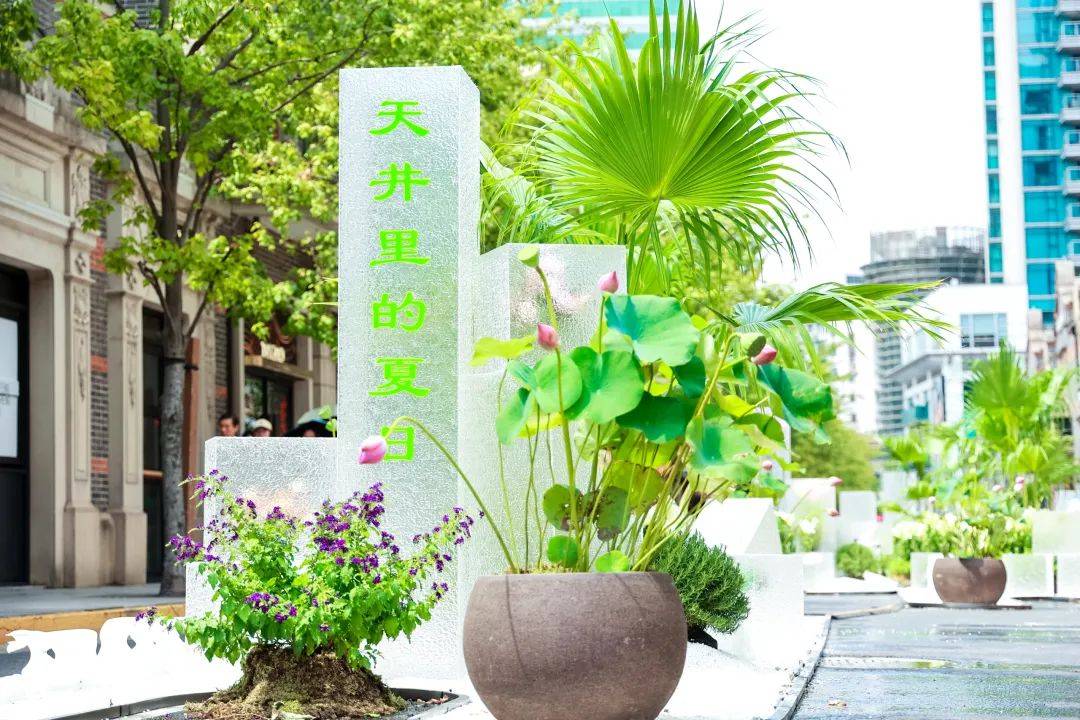 🌸【2024新奥历史开奖记录香港】🌸:嘉定新城强化项目“牵引”城市功能愈发完善