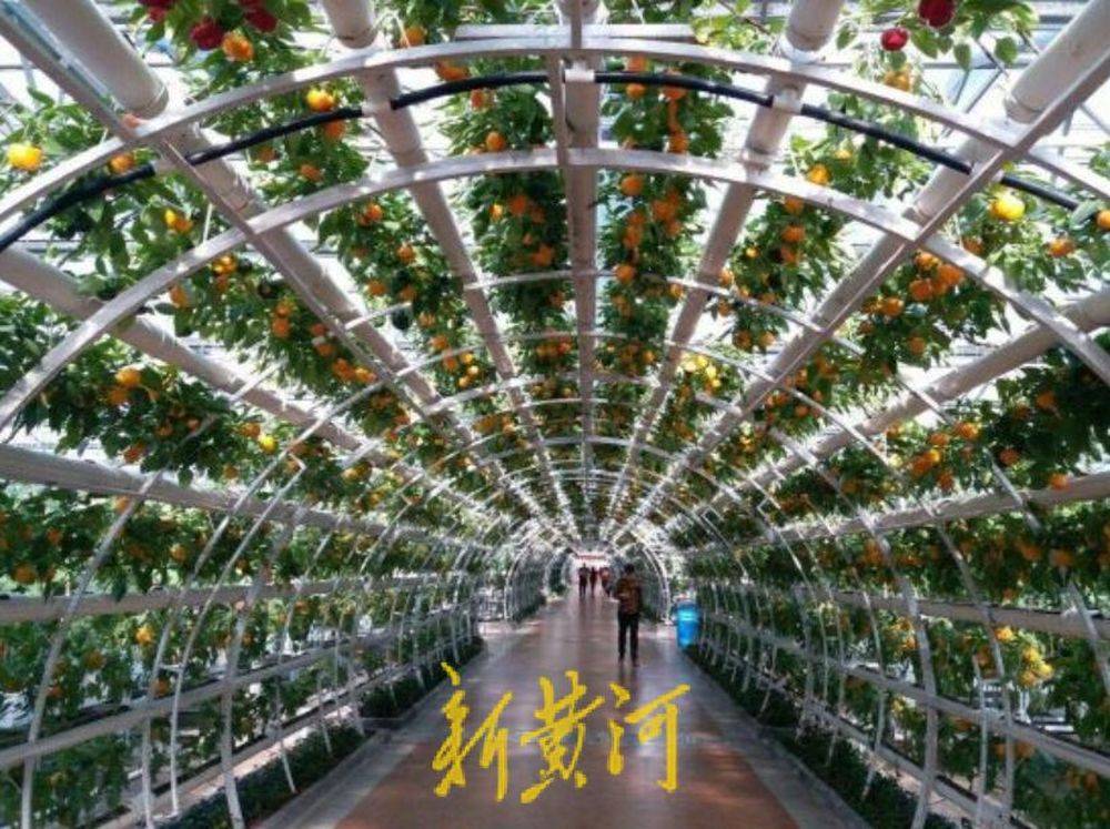 ✅澳门一肖一码100准免费资料✅:陕西地建土地勘测规划设计院有限责任公司中标宝鸡市凤翔区2023年城市国土空间监测项目（三次），金额60万元  第1张