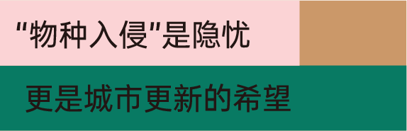 ✅澳门资料大全正版资料2024年免费✅:企业动态 | 新华三2023中国城市轨道交通云市场份额再夺第一，实现四连冠！